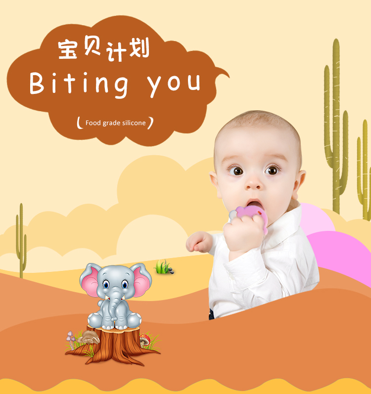  High Quality Silicone Baby Teether 5