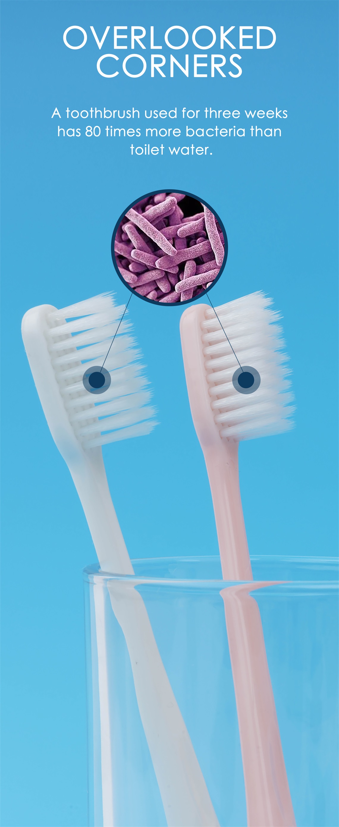 Toothbrush Sanitizer