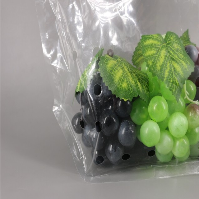 Custom Printed OPP CPP Laminated Ziplock Plastic Food Packaging Bag For Fruits/Vegetables 5