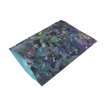 Printing Stand Up Plastic Bag 7