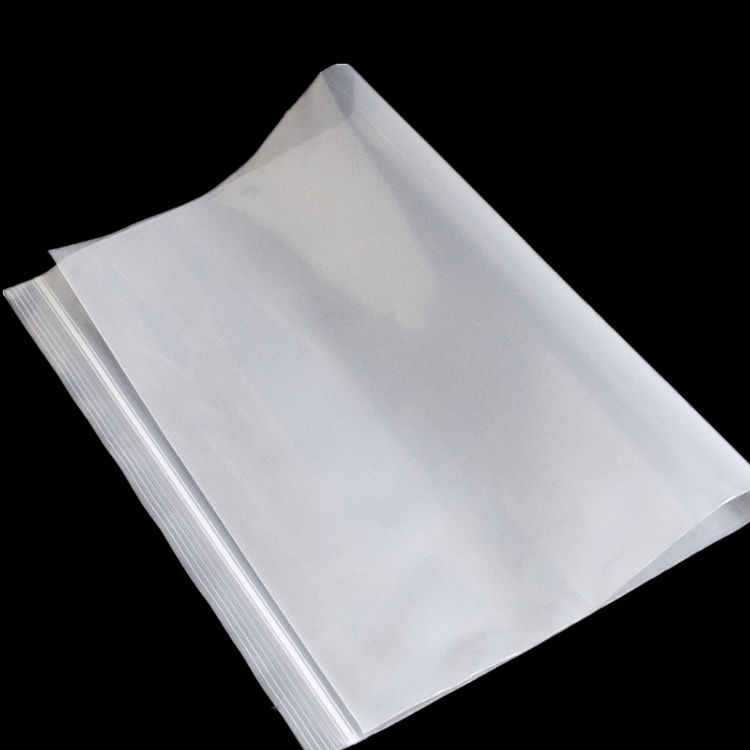 PE Plastic Zipper Bag with Own Logo for Cloth Packaging