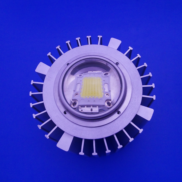 Hot Sell 50W COB Led Module With 2 Years Warranty, View cob led module