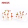 high-quality-desktop-round-white-acrylic-candy