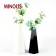 High-Quality-Desktop-Black-Acrylic-Flower-Bottle