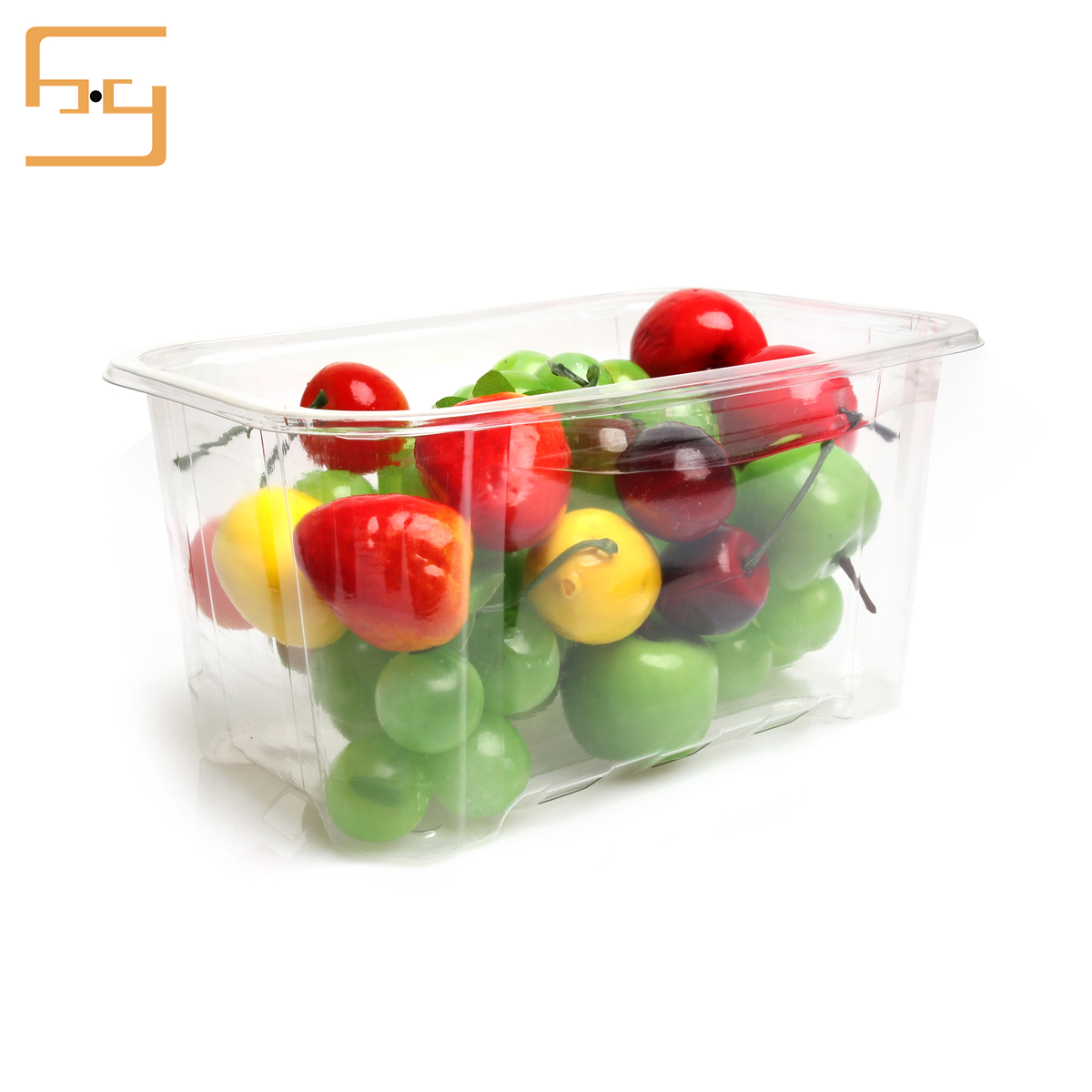  High Quality blister food container