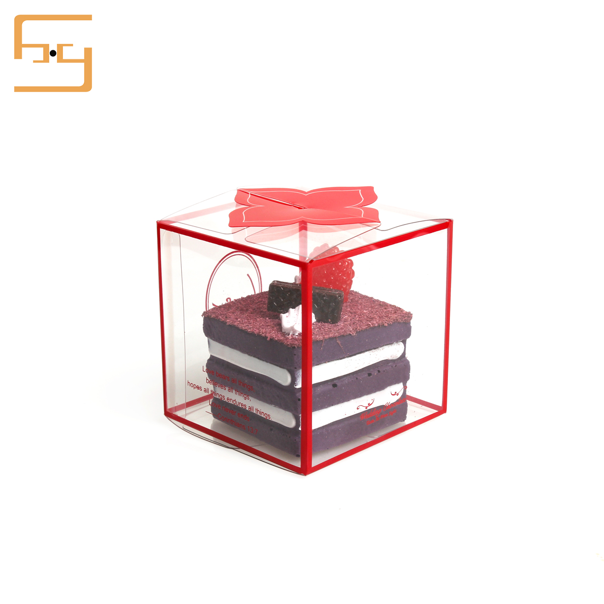 Hot Sale Transparent Printed Plastic PET Gift Box Package